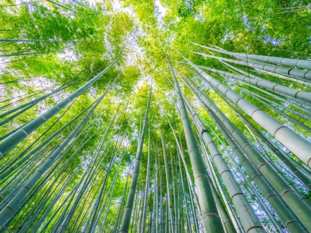 Готель Kamakura Cocon Екстер'єр фото