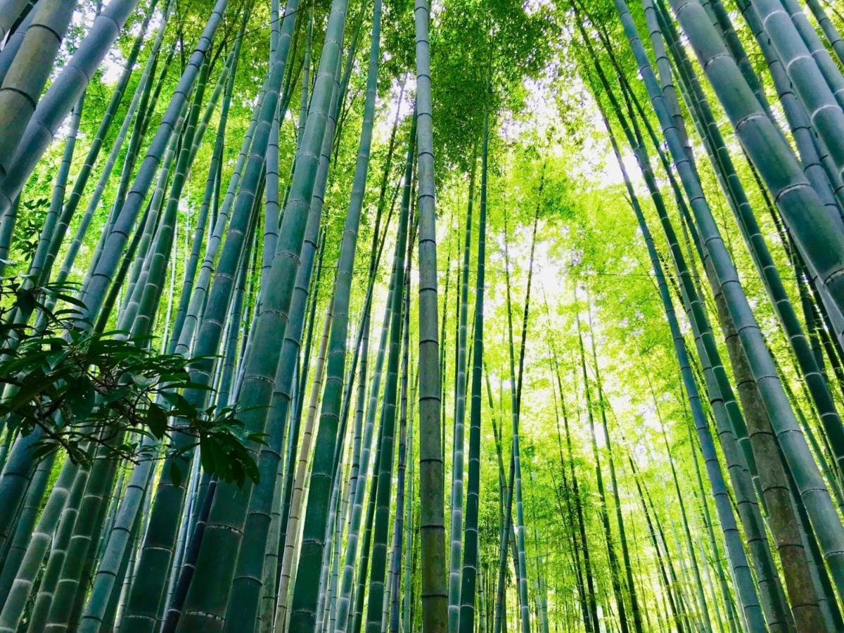 Готель Kamakura Cocon Екстер'єр фото